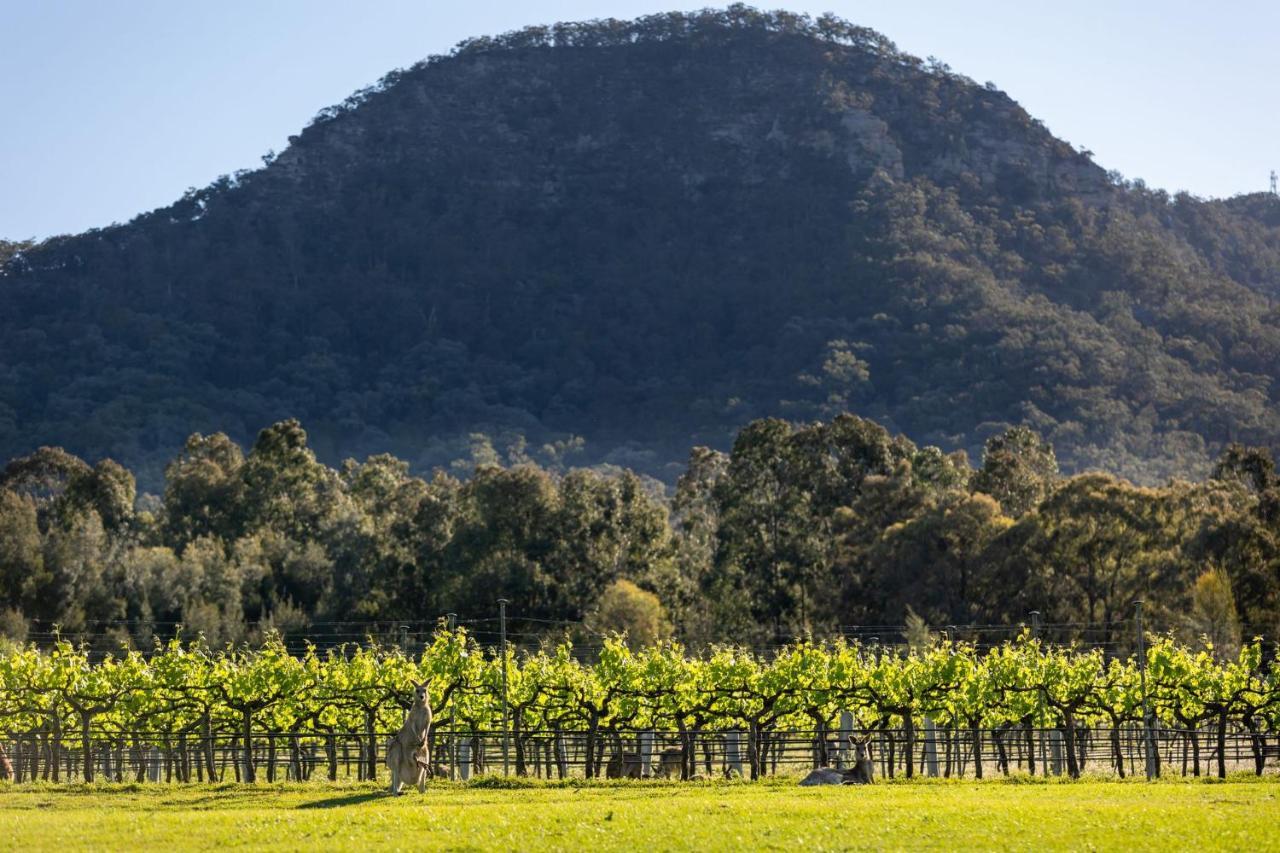 Brokenback Vineyard Estate Villa Pokolbin Buitenkant foto